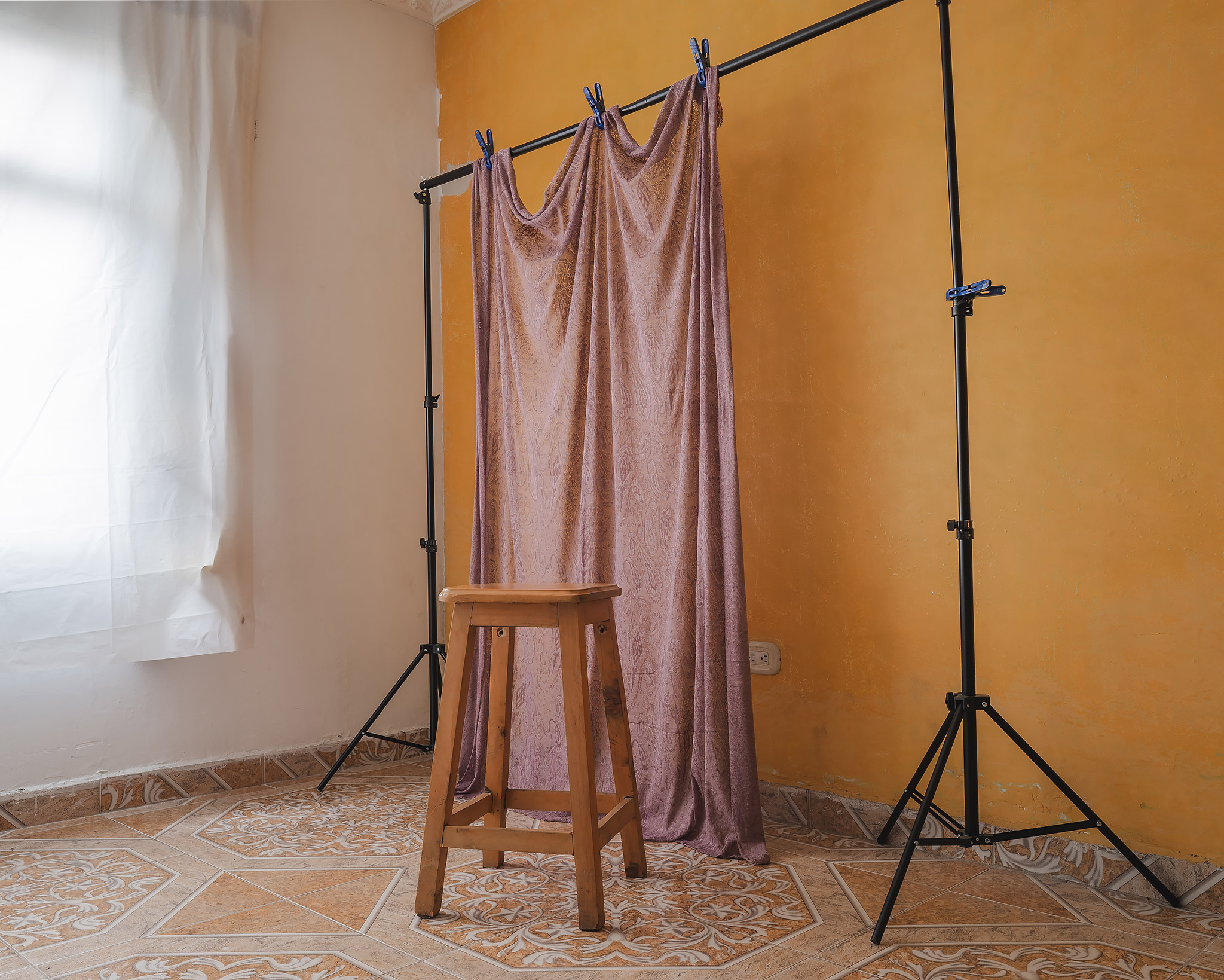 Set orgánico de fotografía